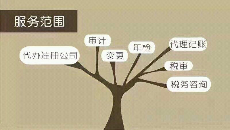 代理记账服务:企业成长的新台阶